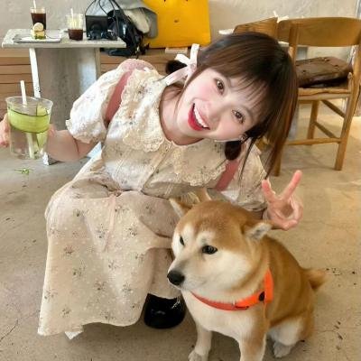 完美关系